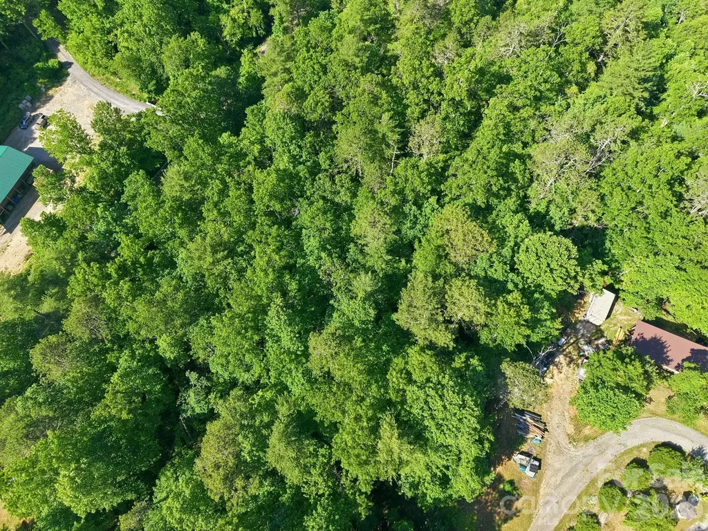 9999 Old Fort Road Black Mountain NC 28711