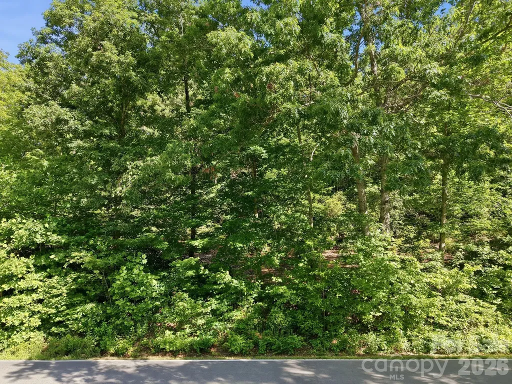 9999 Old Fort Road Black Mountain NC 28711