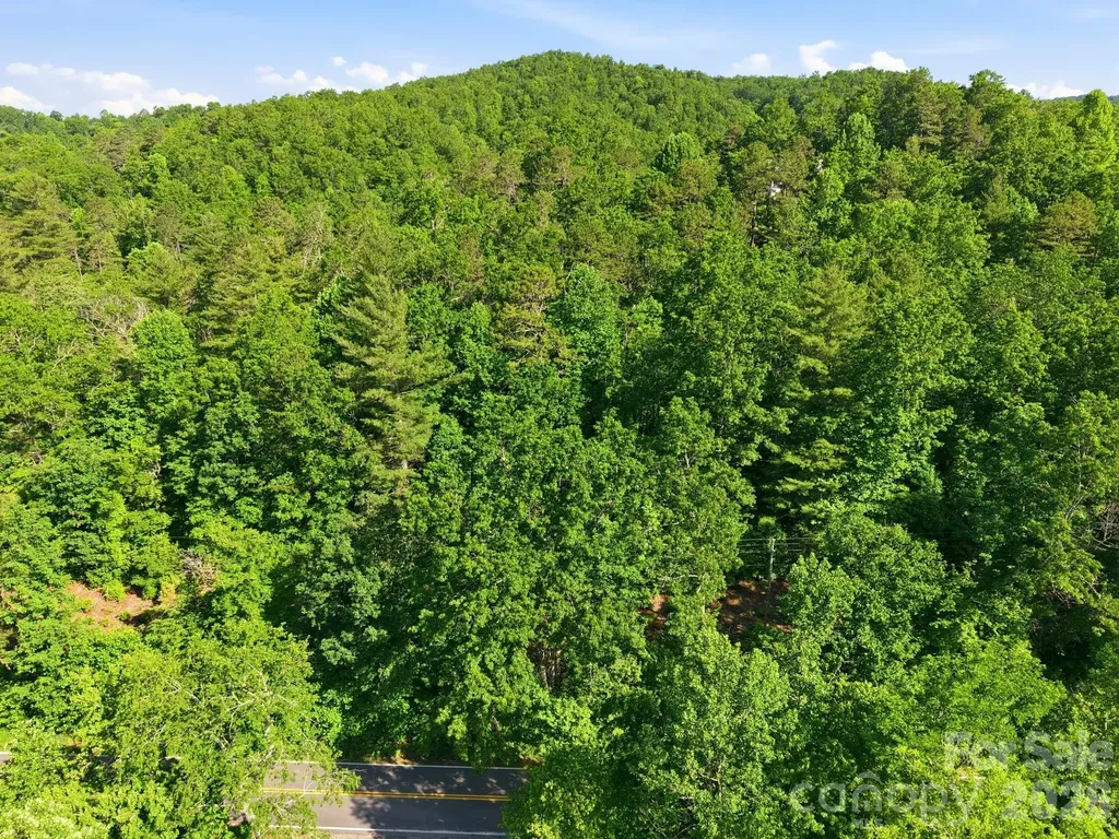 9999 Old Fort Road Black Mountain NC 28711