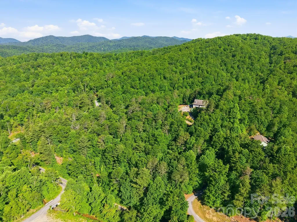9999 Old Fort Road Black Mountain NC 28711