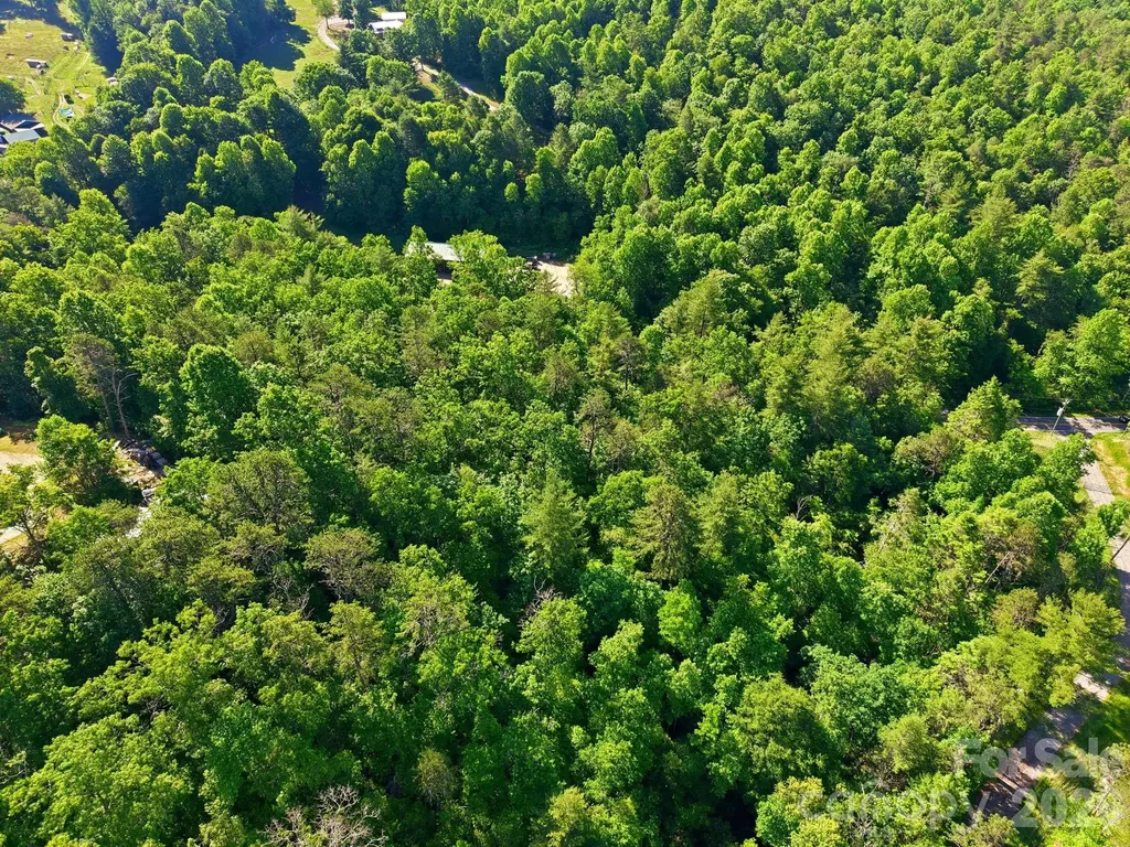 9999 Old Fort Road Black Mountain NC 28711