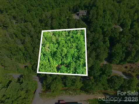 9999 Old Fort Road Black Mountain NC 28711