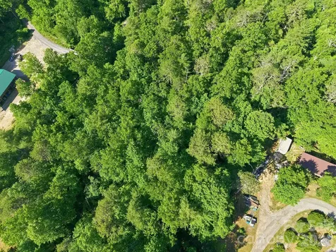 9999 Old Fort Road Black Mountain NC 28711