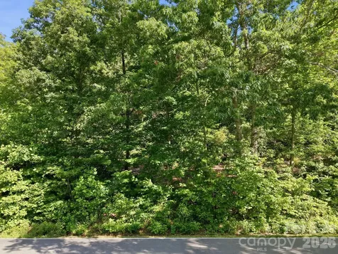 9999 Old Fort Road Black Mountain NC 28711