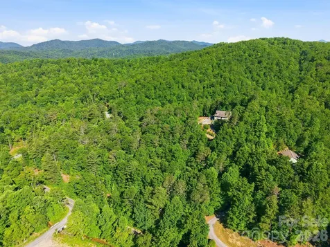 9999 Old Fort Road Black Mountain NC 28711