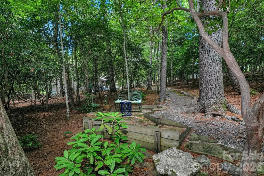 3125 Connestee Trail Brevard NC 28712