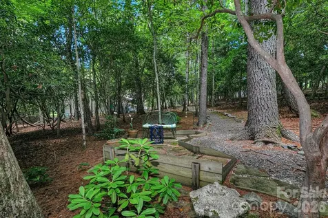 3125 Connestee Trail Brevard NC 28712