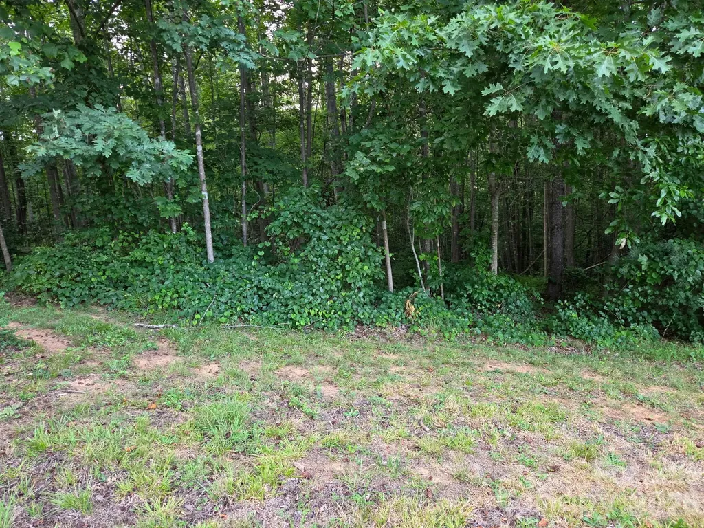 Tbd W Meadow Parkway Moravian Falls NC 28654