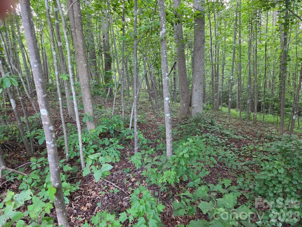 Tbd W Meadow Parkway Moravian Falls NC 28654