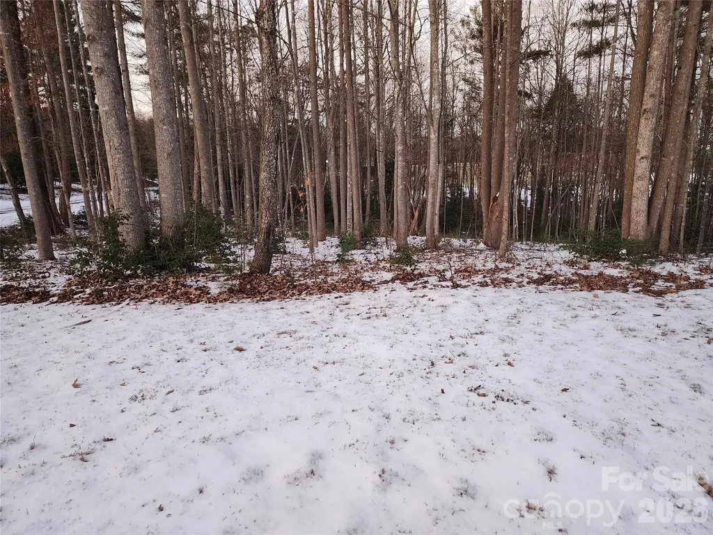 Tbd W Meadow Parkway Moravian Falls NC 28654