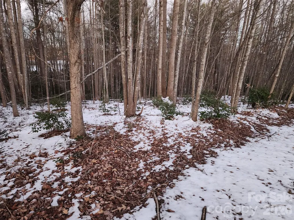 Tbd W Meadow Parkway Moravian Falls NC 28654