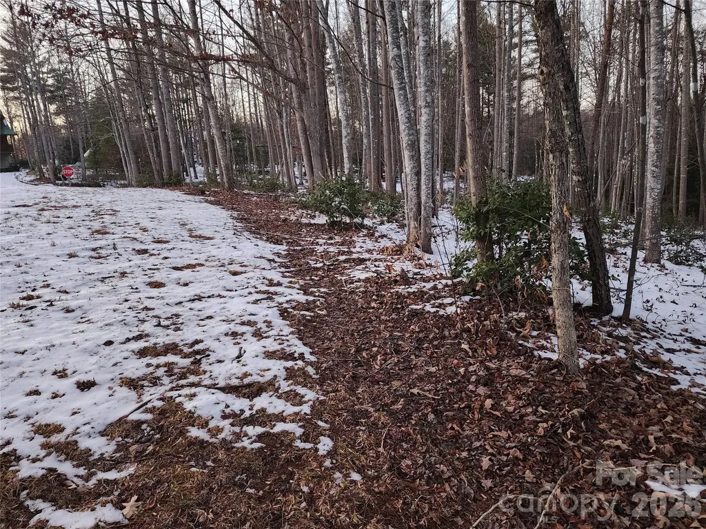 Tbd W Meadow Parkway Moravian Falls NC 28654