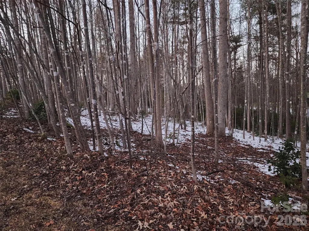 Tbd W Meadow Parkway Moravian Falls NC 28654