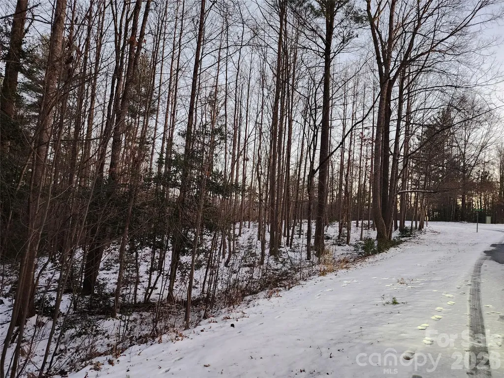 Tbd W Meadow Parkway Moravian Falls NC 28654