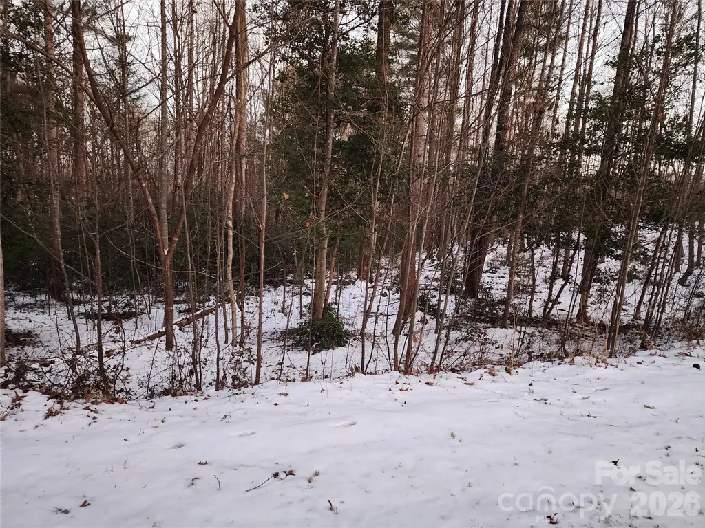 Tbd W Meadow Parkway Moravian Falls NC 28654