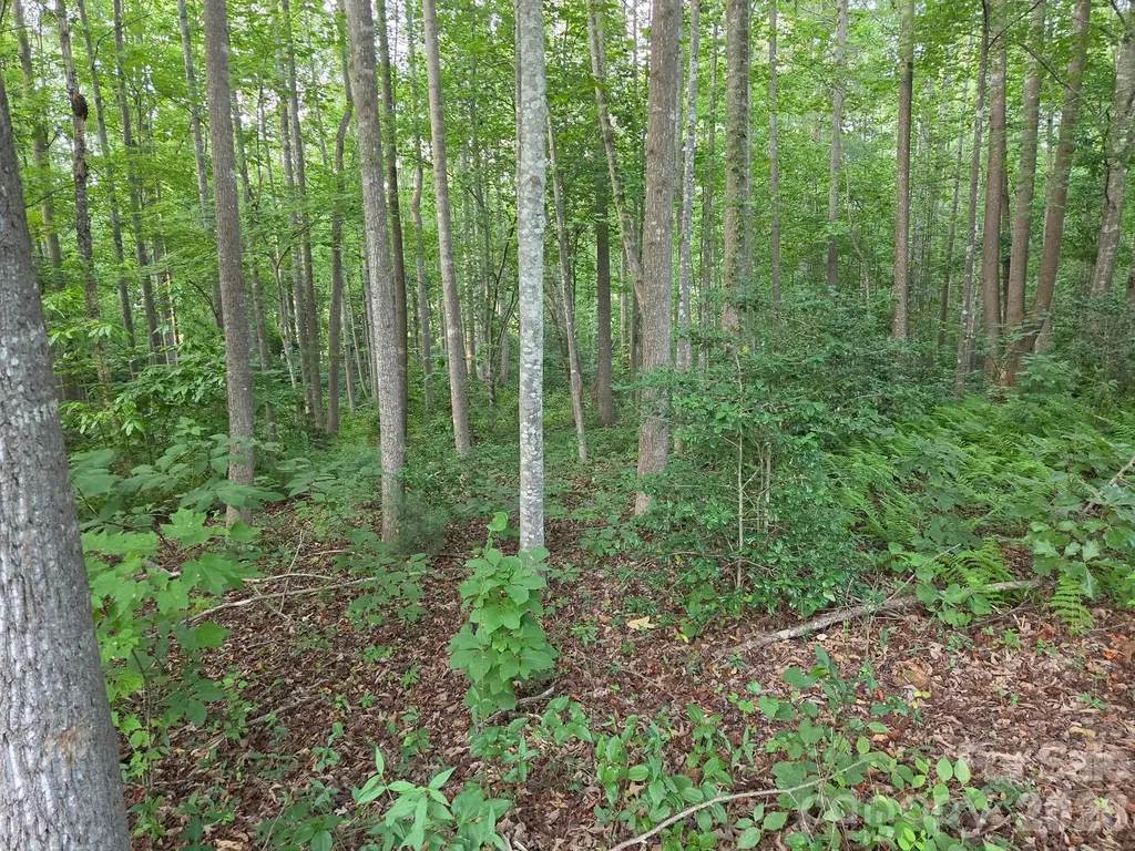 Tbd W Meadow Parkway Moravian Falls NC 28654