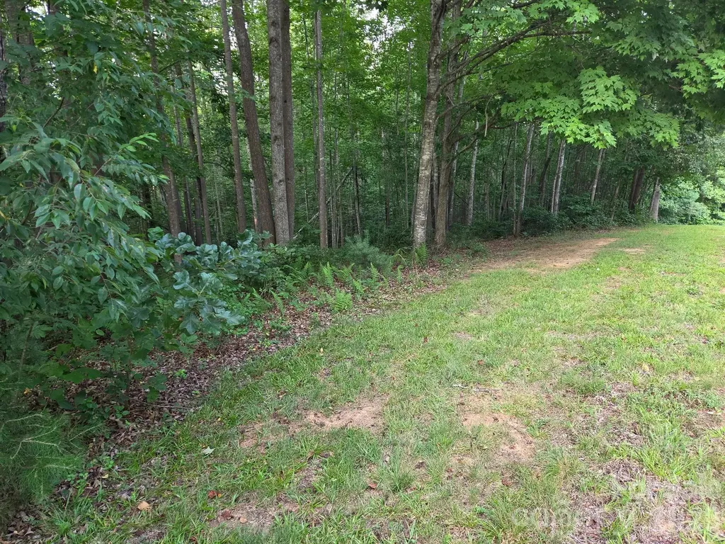 Tbd W Meadow Parkway Moravian Falls NC 28654
