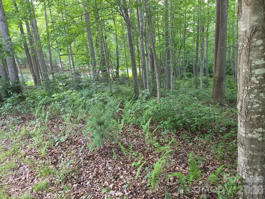 Tbd W Meadow Parkway Moravian Falls NC 28654