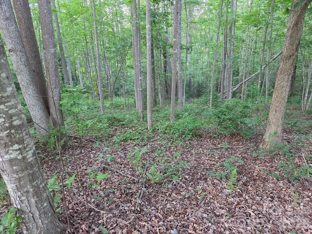 Tbd W Meadow Parkway Moravian Falls NC 28654