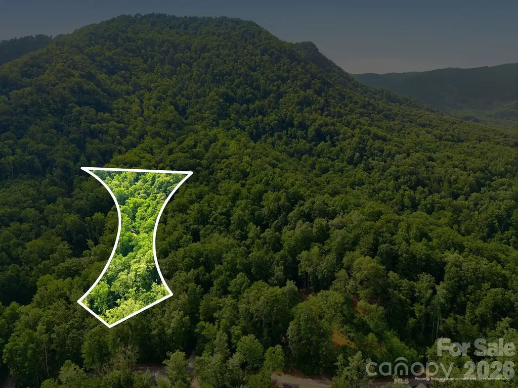 0000 Rocky Branch Trail Marion NC 28752