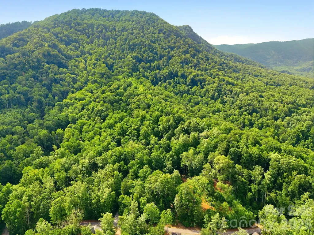 0000 Rocky Branch Trail Marion NC 28752