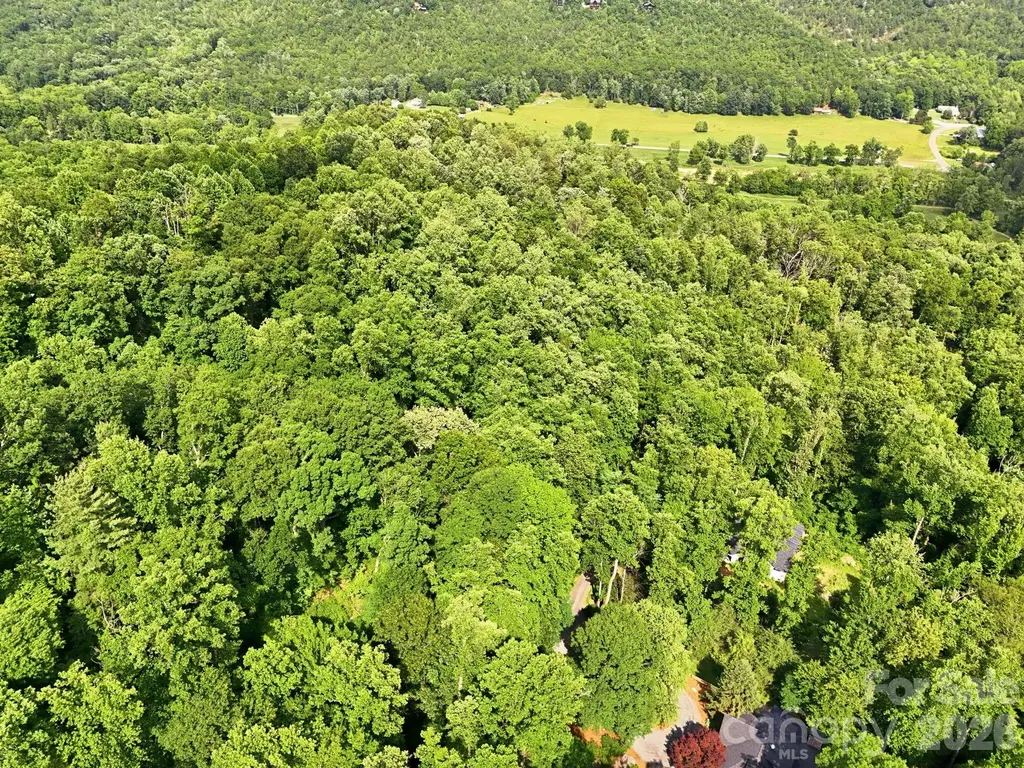 0000 Rocky Branch Trail Marion NC 28752