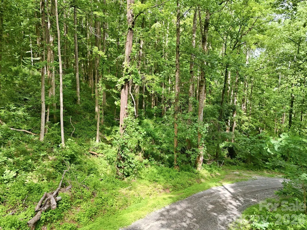 0000 Rocky Branch Trail Marion NC 28752