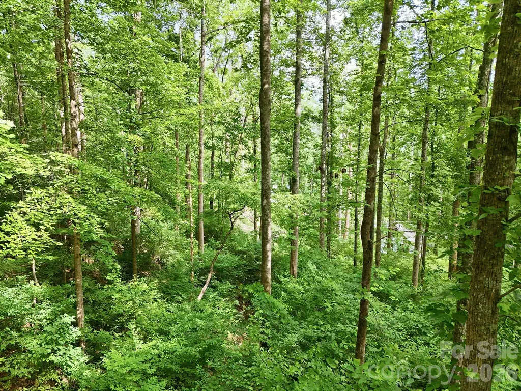 0000 Rocky Branch Trail Marion NC 28752