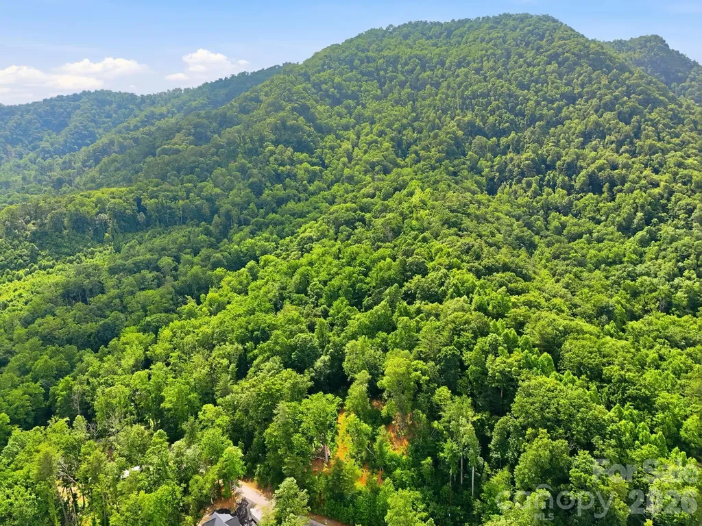 0000 Rocky Branch Trail Marion NC 28752