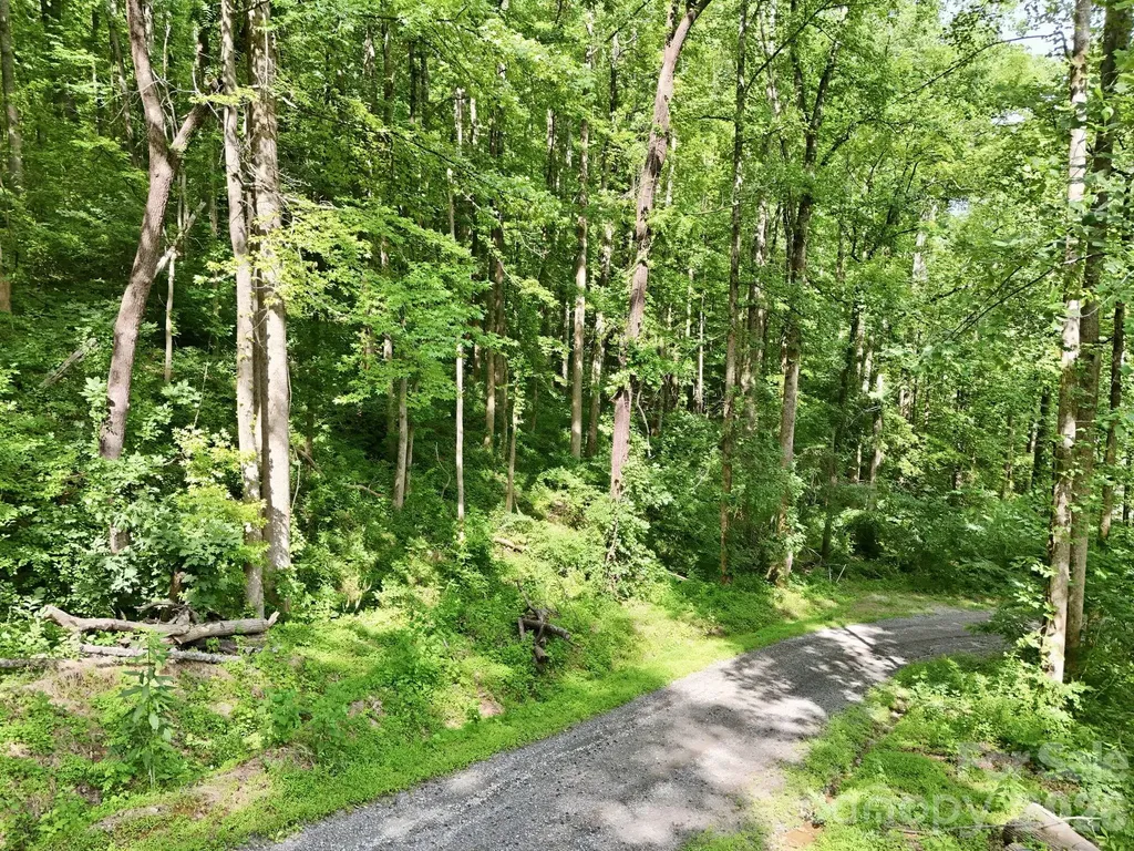 0000 Rocky Branch Trail Marion NC 28752