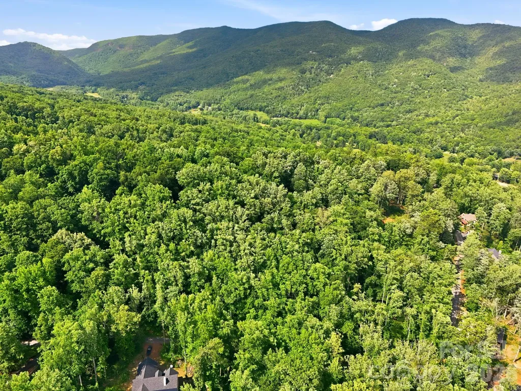 0000 Rocky Branch Trail Marion NC 28752