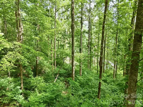 0000 Rocky Branch Trail Marion NC 28752