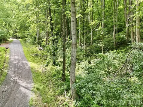 0000 Rocky Branch Trail Marion NC 28752