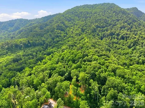 0000 Rocky Branch Trail Marion NC 28752