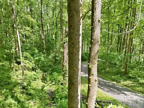 0000 Rocky Branch Trail Marion NC 28752