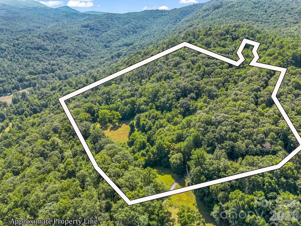Fletcher NC, Vineyard Hill Drive