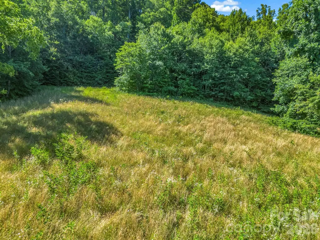 0 Vineyard Hill Drive Fletcher NC 28732