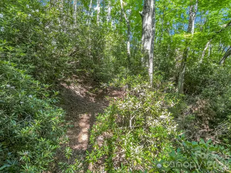 0 Vineyard Hill Drive Fletcher NC 28732