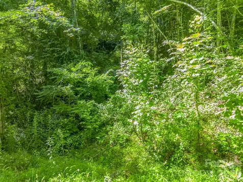 0 Vineyard Hill Drive Fletcher NC 28732