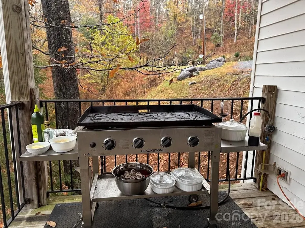 39 Rogers Creek Drive Bakersville NC 28705