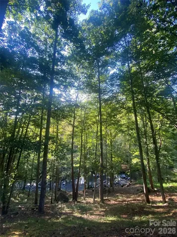 39 Rogers Creek Drive Bakersville NC 28705