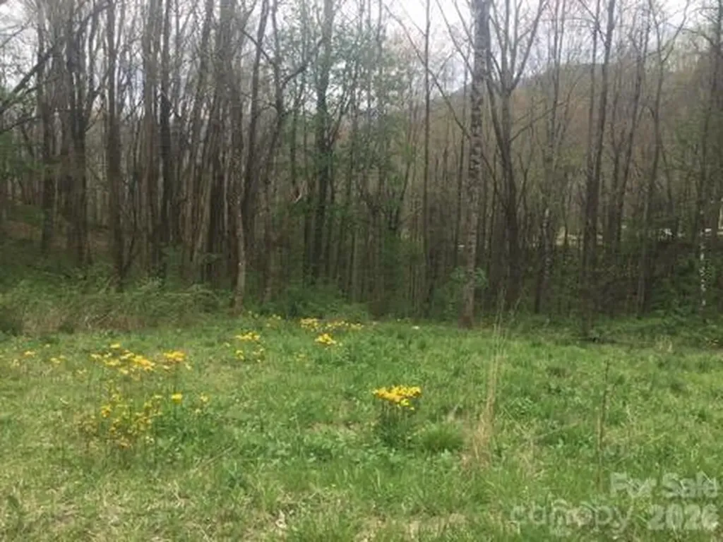 00 Sage Lane Waynesville NC 28785