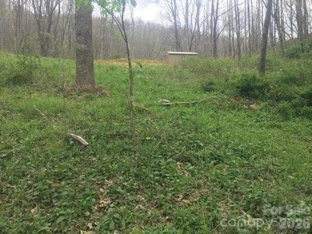 00 Sage Lane Waynesville NC 28785
