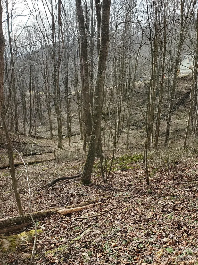 00 Sage Lane Waynesville NC 28785