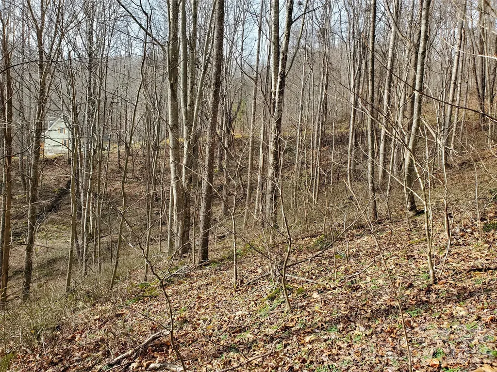 00 Sage Lane Waynesville NC 28785