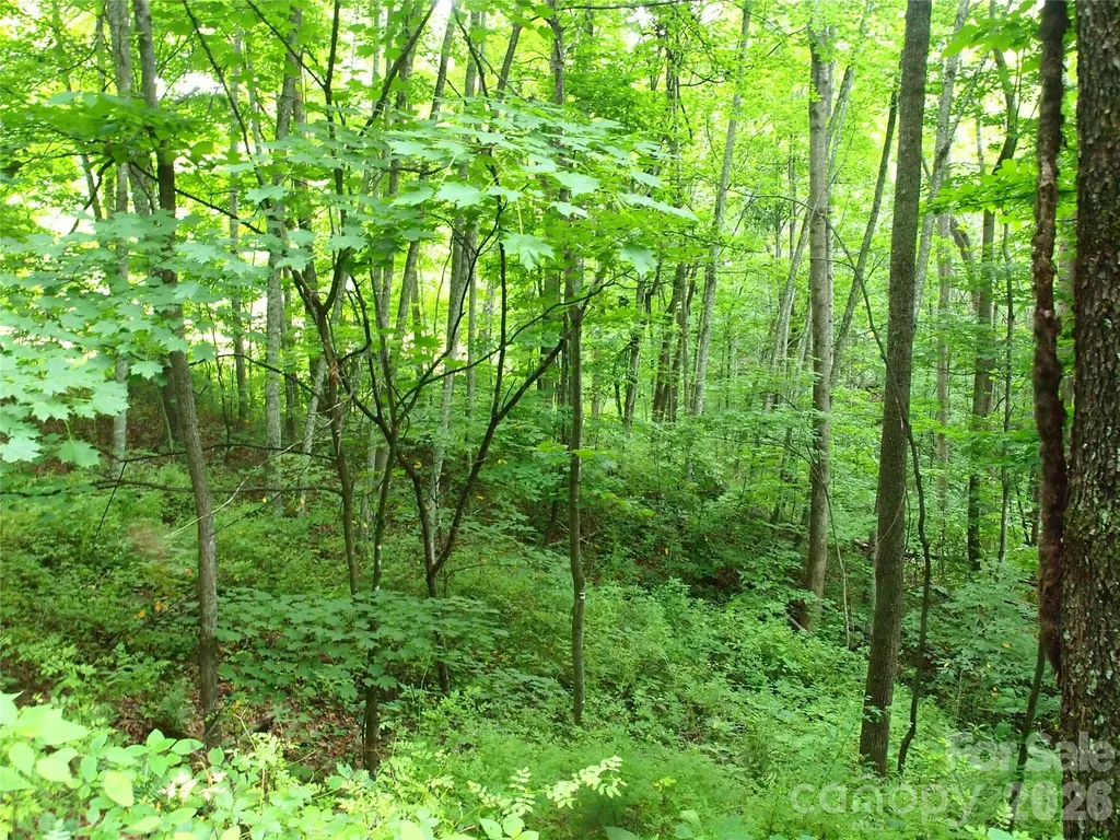 00 Sage Lane Waynesville NC 28785