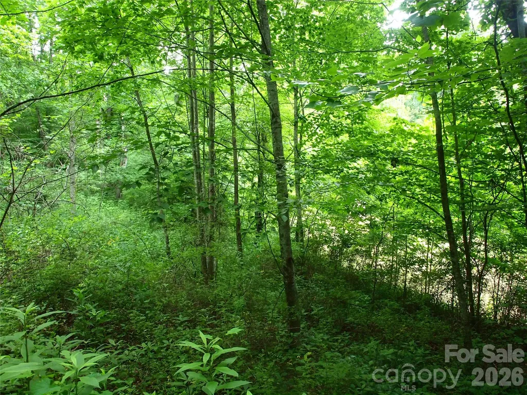 00 Sage Lane Waynesville NC 28785