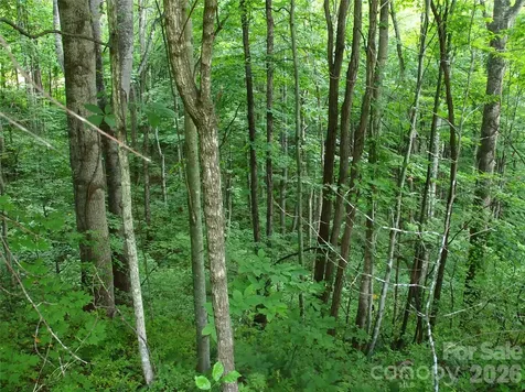 00 Sage Lane Waynesville NC 28785