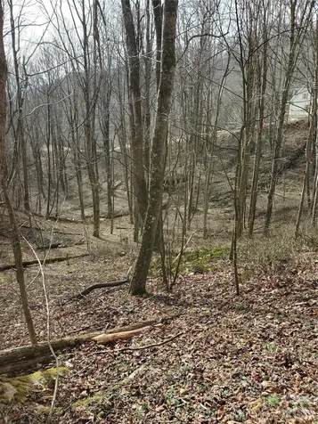 00 Sage Lane Waynesville NC 28785