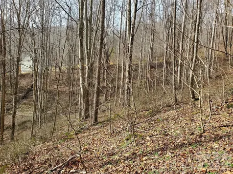 00 Sage Lane Waynesville NC 28785